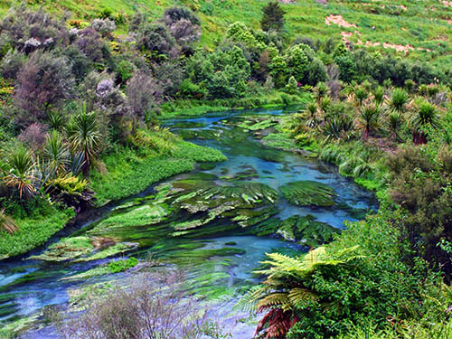 Blue Spring